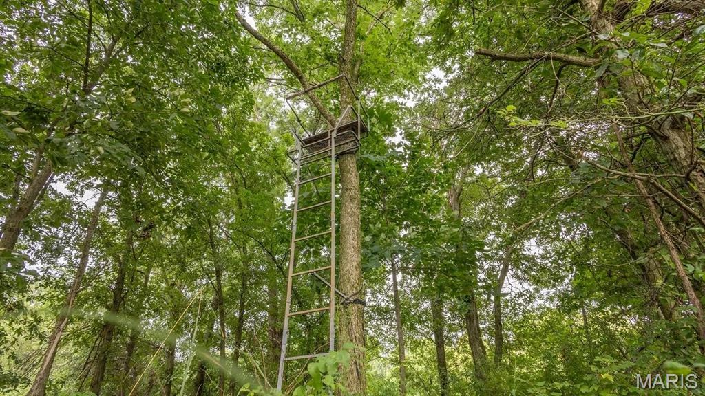 0 Sand Creek Bottom Road Greentop, MO 63546 - Photo 2 of 52