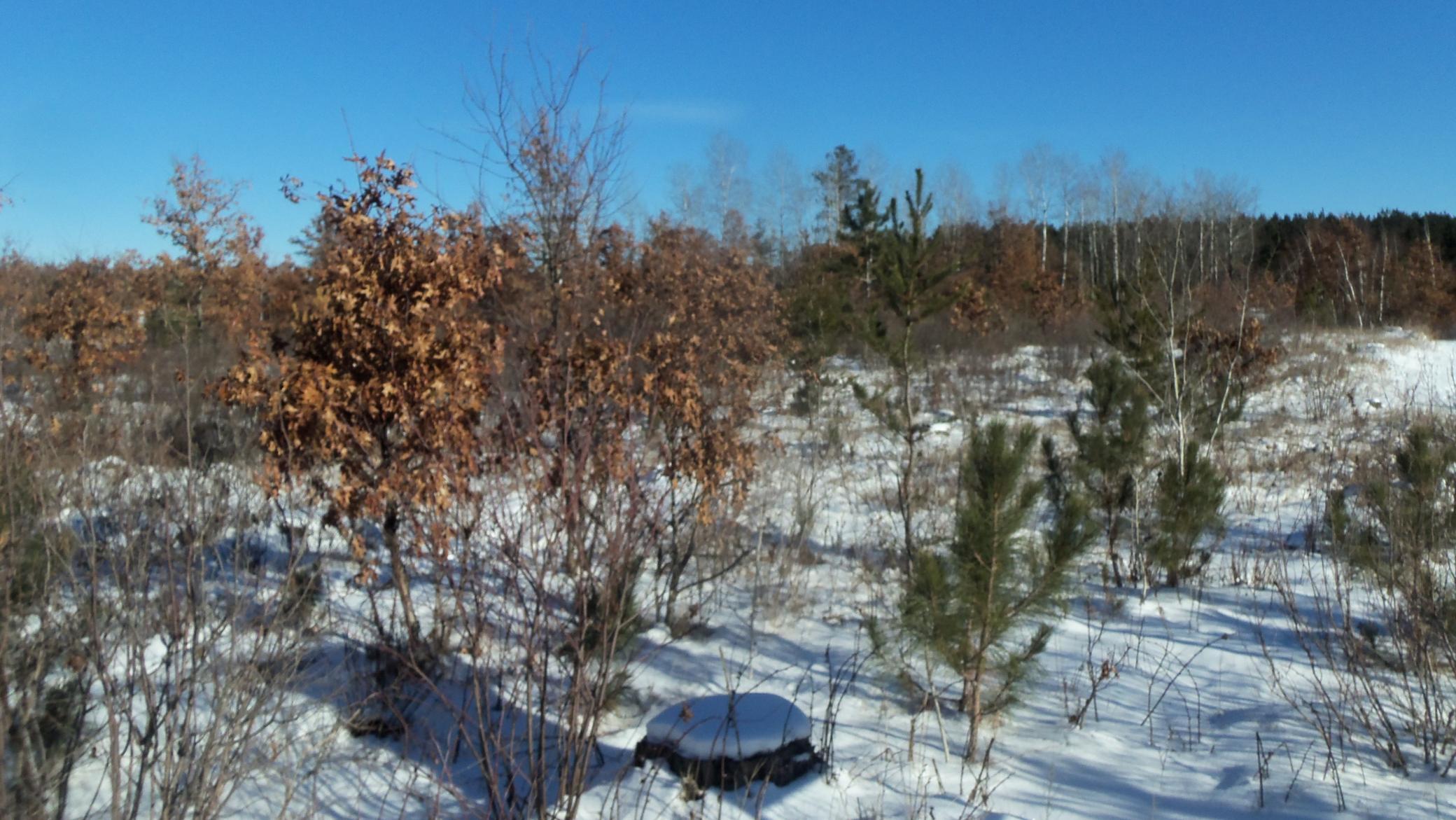 11-12 Pine Tree Trail Springbrook, WI 54875 - Photo 1 of 1