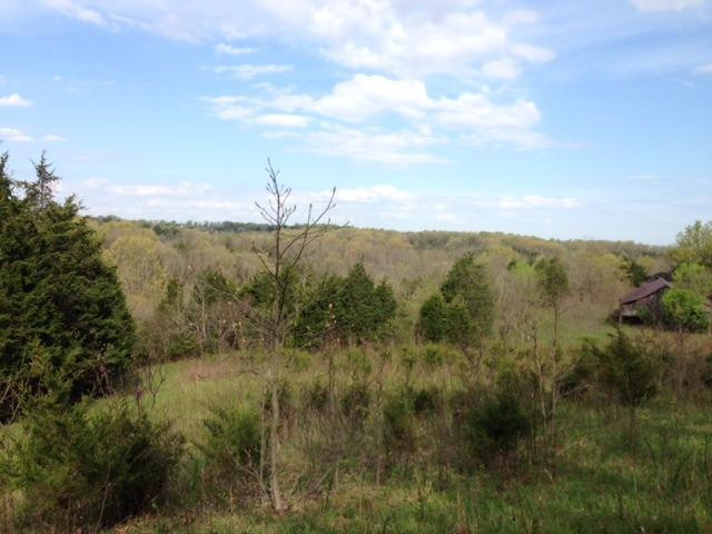0 Chapel Road Mount Olivet, KY 41064 - Photo 8 of 13 Gallery Image 8