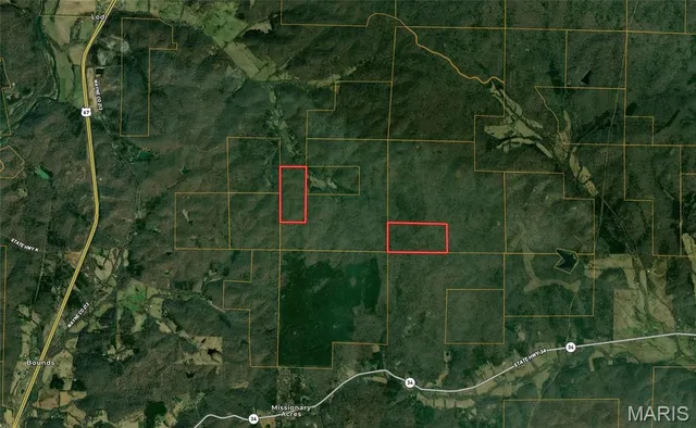 $176,000 | 0 S33 T30n R6e, Silva, MO 63934