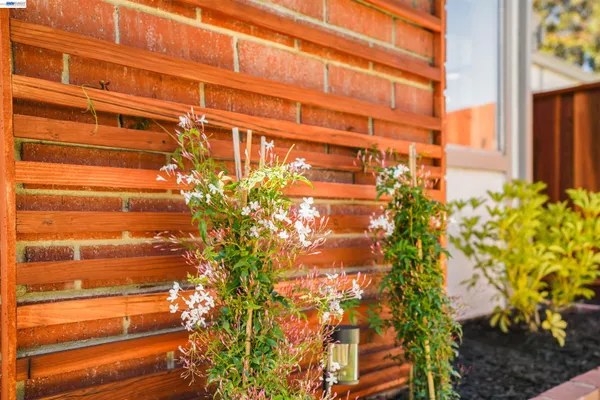 a swimming pool with wooden fence