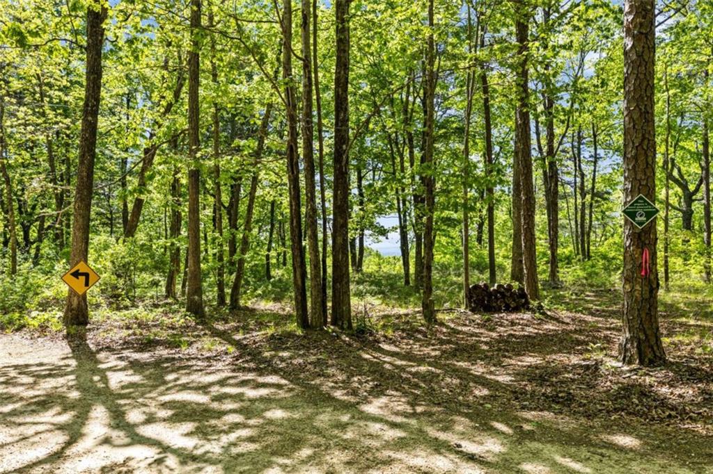 0 Neals Brow Road Menlo, GA 30731 - Photo 5 of 18 a view of outdoor space and tree
