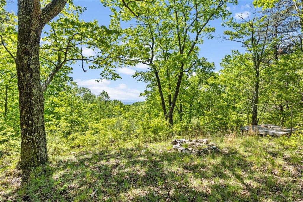 0 Neals Brow Road Menlo, GA 30731 - Photo 7 of 18 a backyard of a house with lots of green space