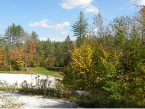0 Sumner Road, Unit LOT 7 Ludlow, VT 05149 - Photo 8 of 14