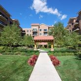 a view of a back yard