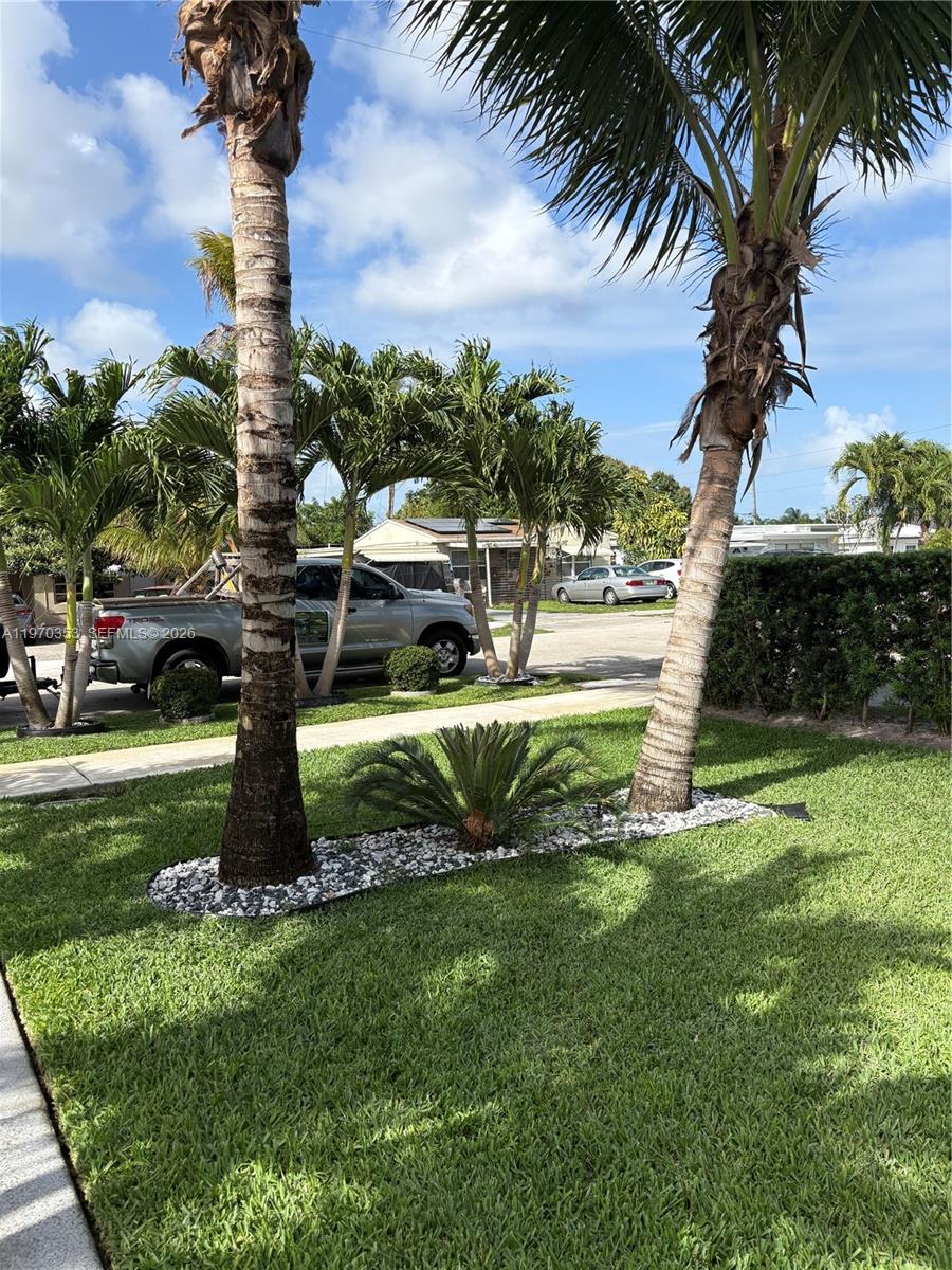 5632 Hayes Street Hollywood, FL 33021 - Photo 27 of 42 a view of a yard with palm trees