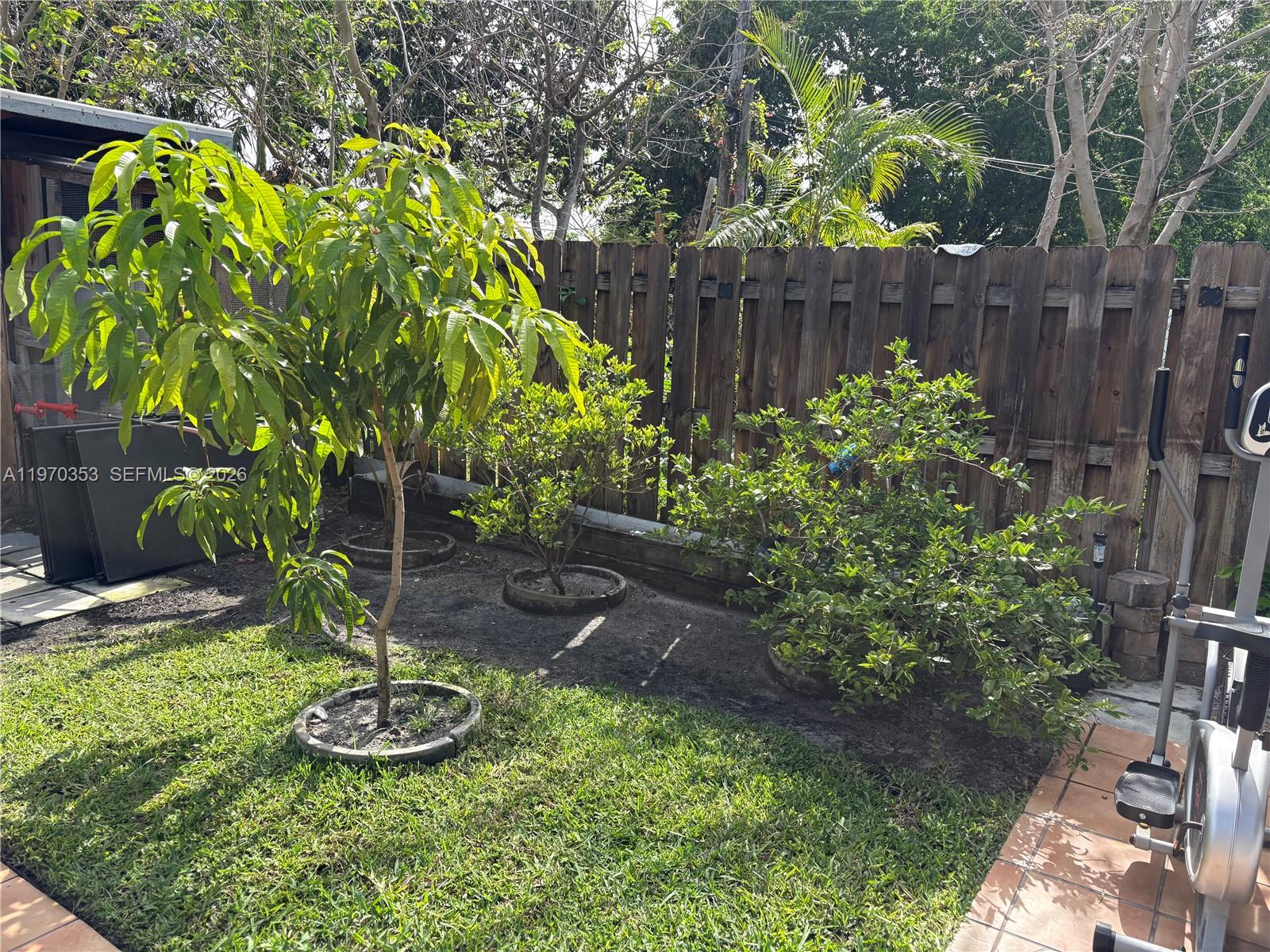 5632 Hayes Street Hollywood, FL 33021 - Photo 41 of 42 a view of a backyard with plants and a fence