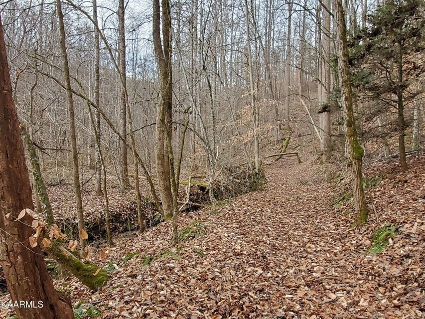 0 Dripping Springs Road Seymour, TN 37865 - Photo 32 of 32 Gallery Image 32