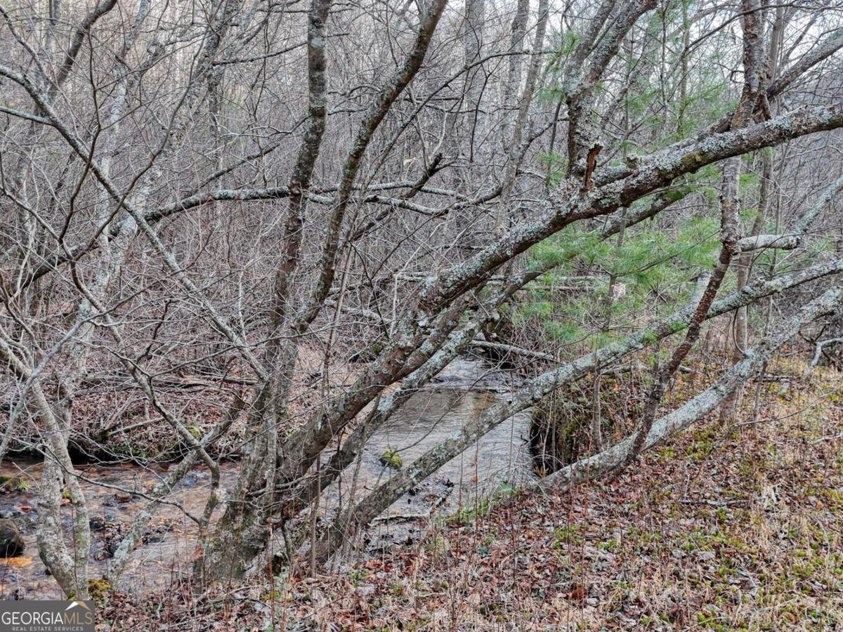 476 Rainbow Road Suches, GA 30572 - Photo 16 of 25