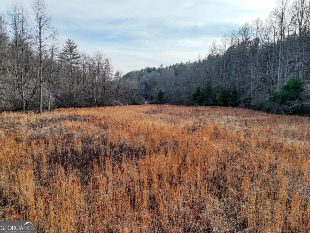 476 Rainbow Road Suches, GA 30572 - Photo 19 of 25