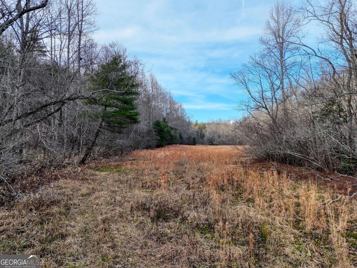 476 Rainbow Road Suches, GA 30572 - Photo 25 of 25