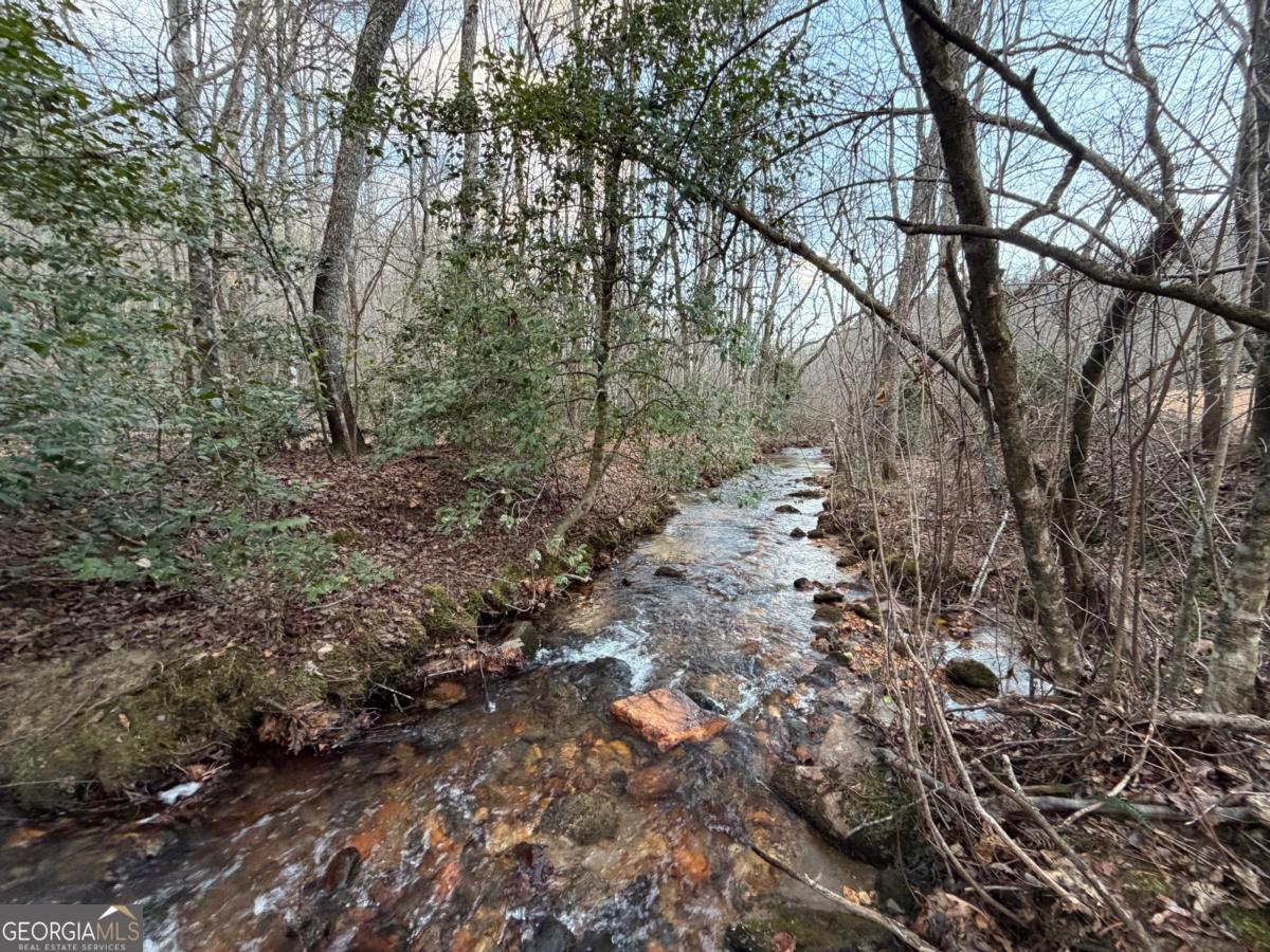 476 Rainbow Road Suches, GA 30572 - Photo 4 of 25