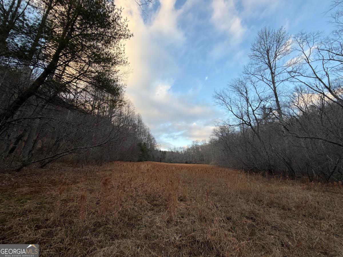 476 Rainbow Road Suches, GA 30572 - Photo 6 of 25