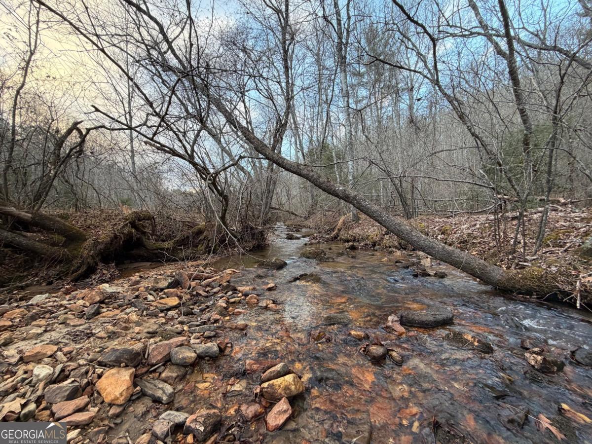 476 Rainbow Road Suches, GA 30572 - Photo 8 of 25