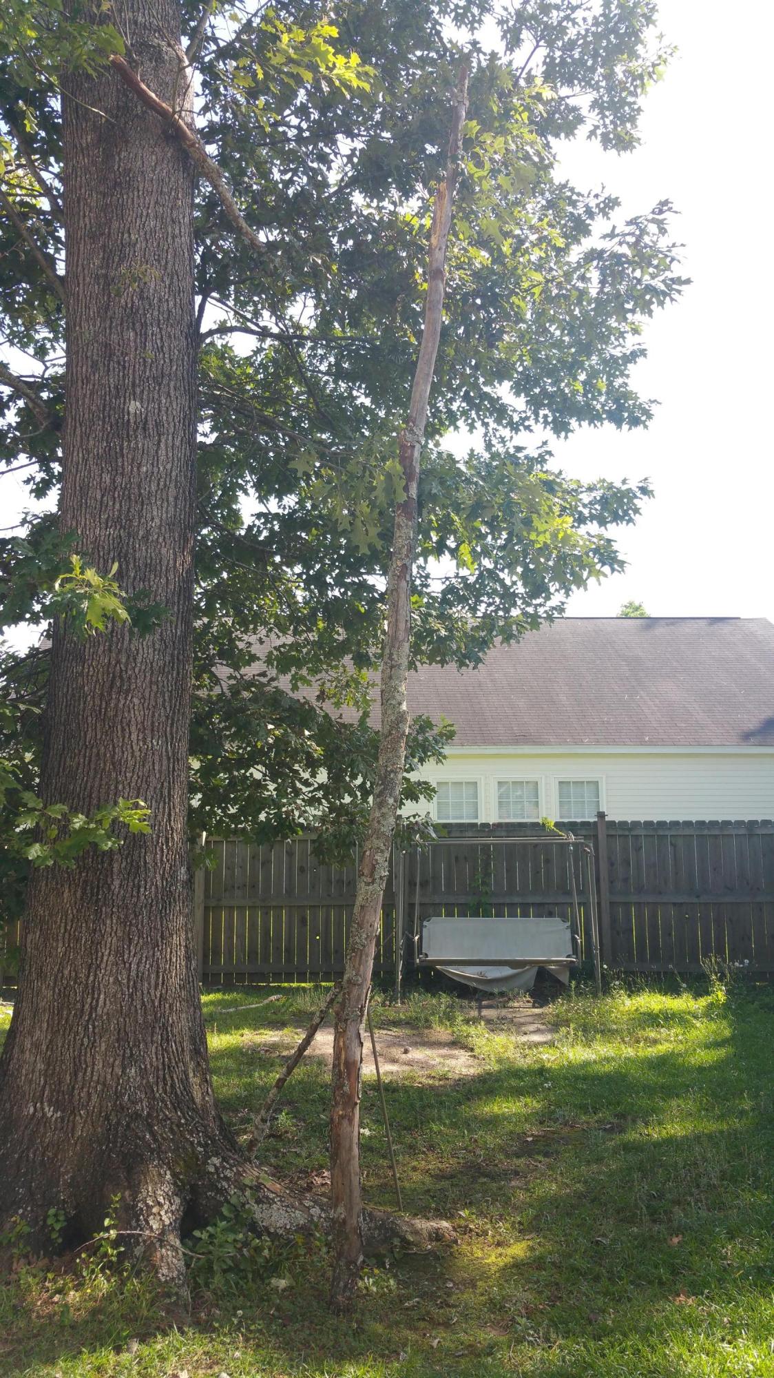 130 Albacore Road Bonneau, SC 29431 - Photo 23 of 24 20150611_164344