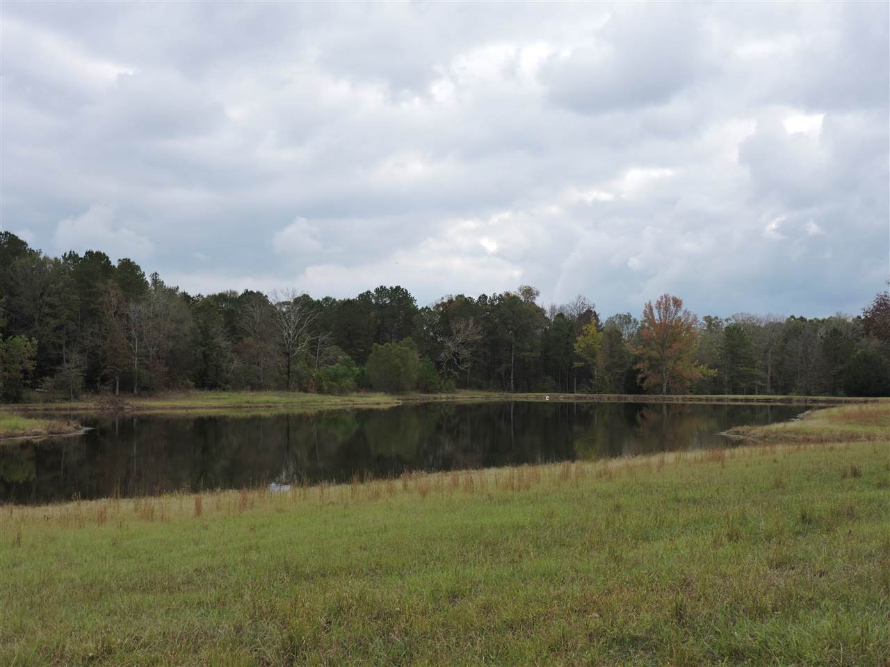 844 Pinola Braxton Road Braxton, MS 39044 - Photo 1 of 41 Photo 1