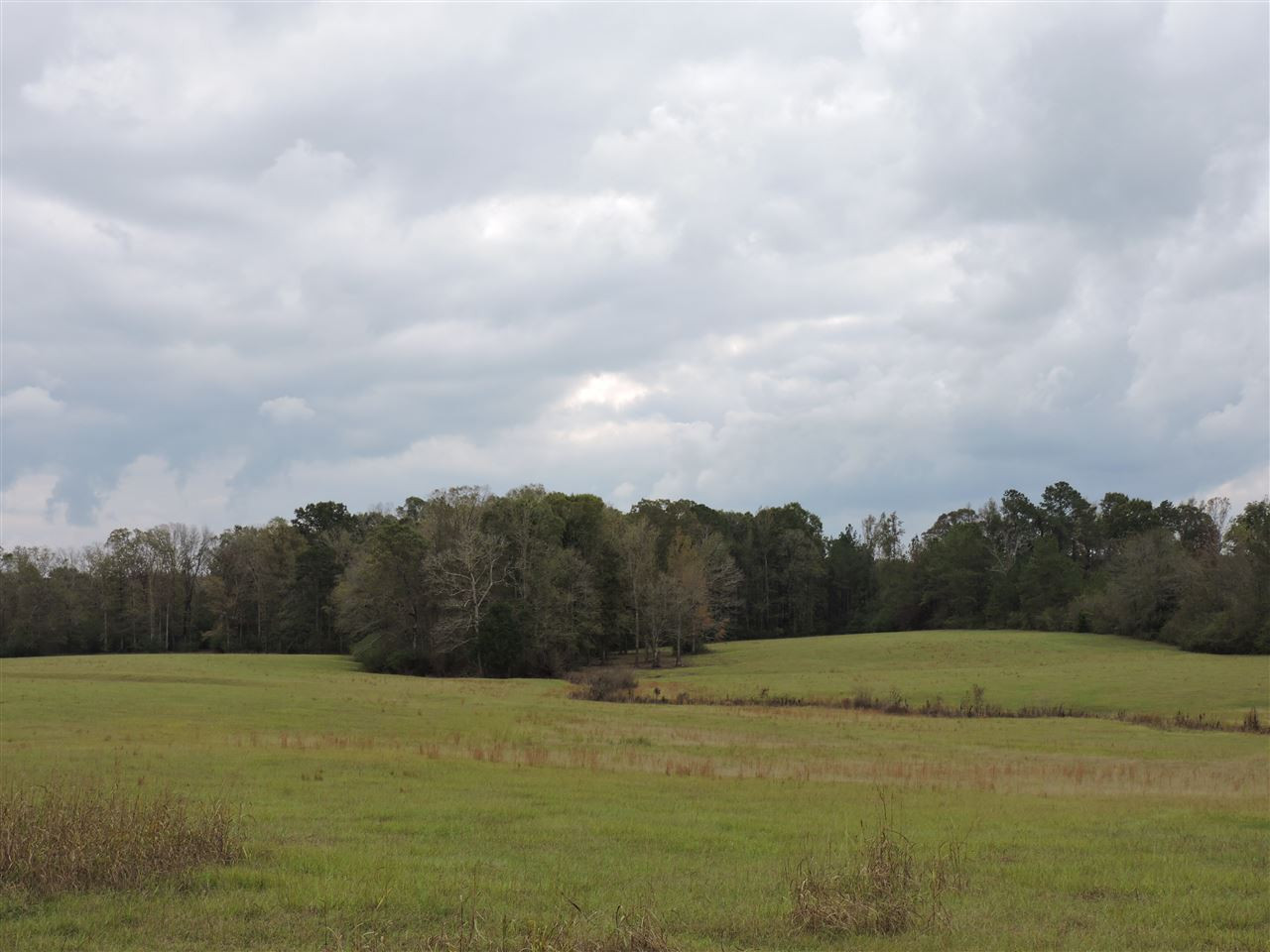 844 Pinola Braxton Road Braxton, MS 39044 - Photo 2 of 41 Photo 2