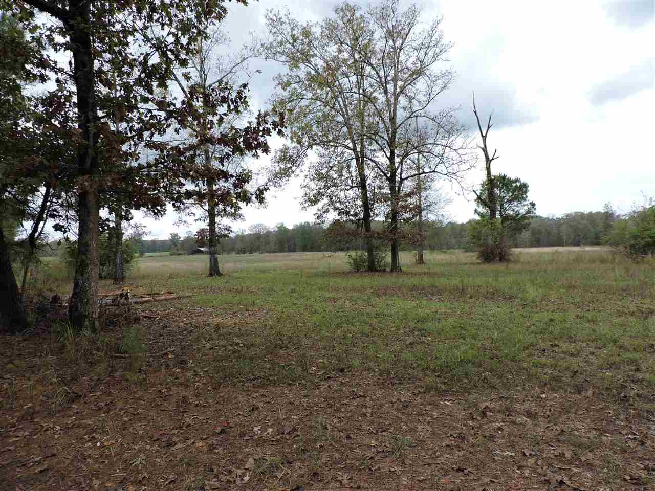 844 Pinola Braxton Road Braxton, MS 39044 - Photo 21 of 41 Photo 21