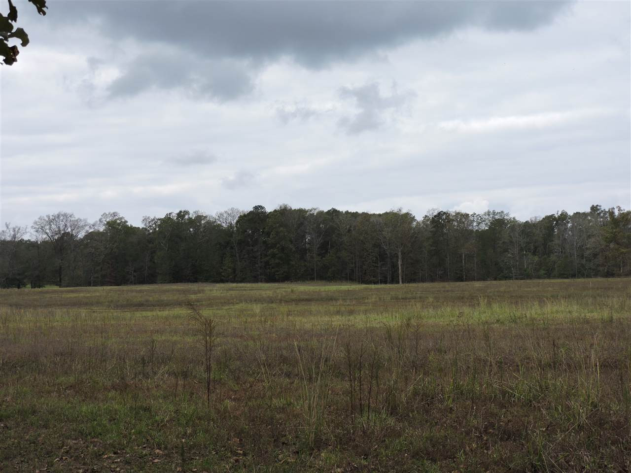 844 Pinola Braxton Road Braxton, MS 39044 - Photo 22 of 41 Photo 22