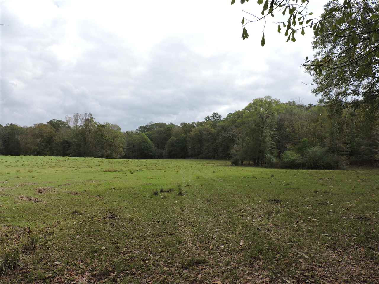 844 Pinola Braxton Road Braxton, MS 39044 - Photo 23 of 41 Photo 23