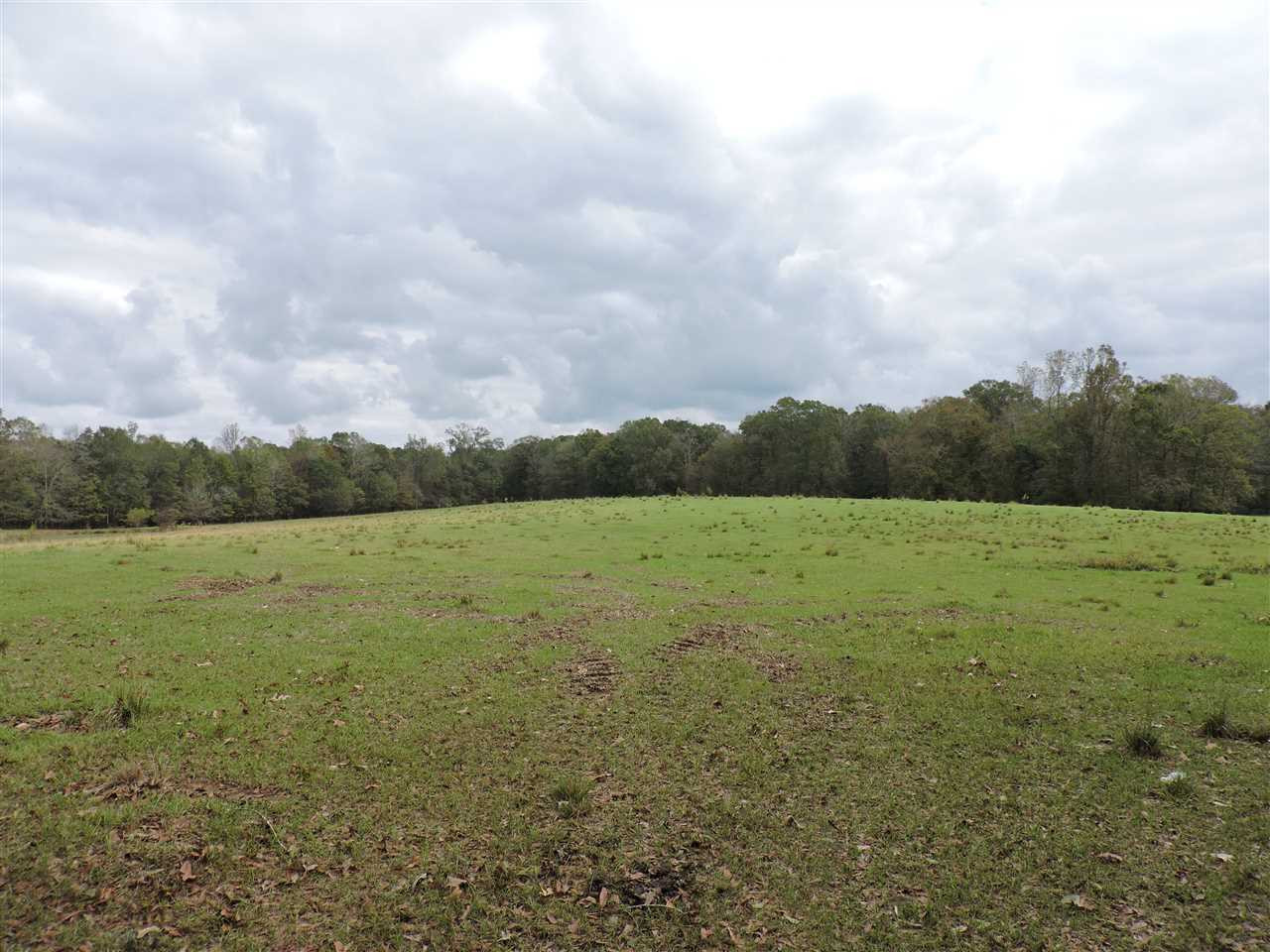 844 Pinola Braxton Road Braxton, MS 39044 - Photo 24 of 41 Photo 24