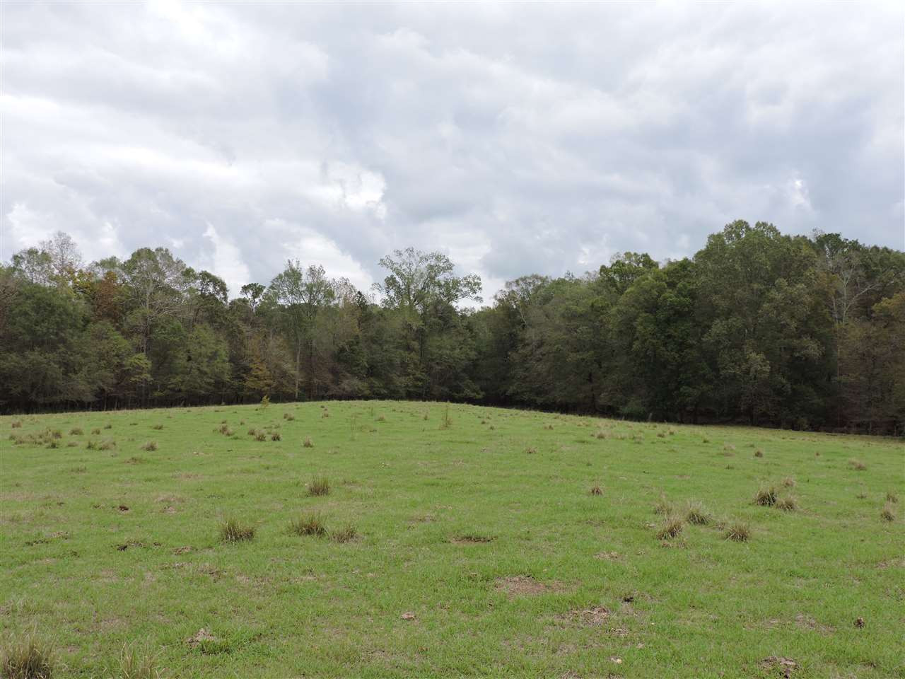 844 Pinola Braxton Road Braxton, MS 39044 - Photo 27 of 41 Photo 27