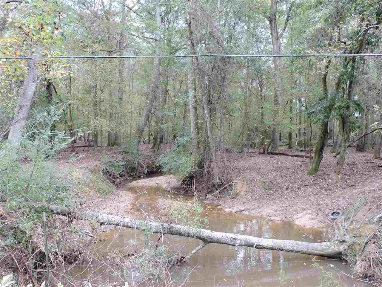 844 Pinola Braxton Road Braxton, MS 39044 - Photo 28 of 41 Photo 28