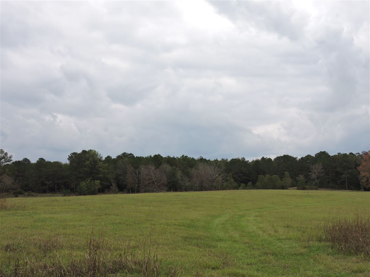 844 Pinola Braxton Road Braxton, MS 39044 - Photo 30 of 41 Photo 30