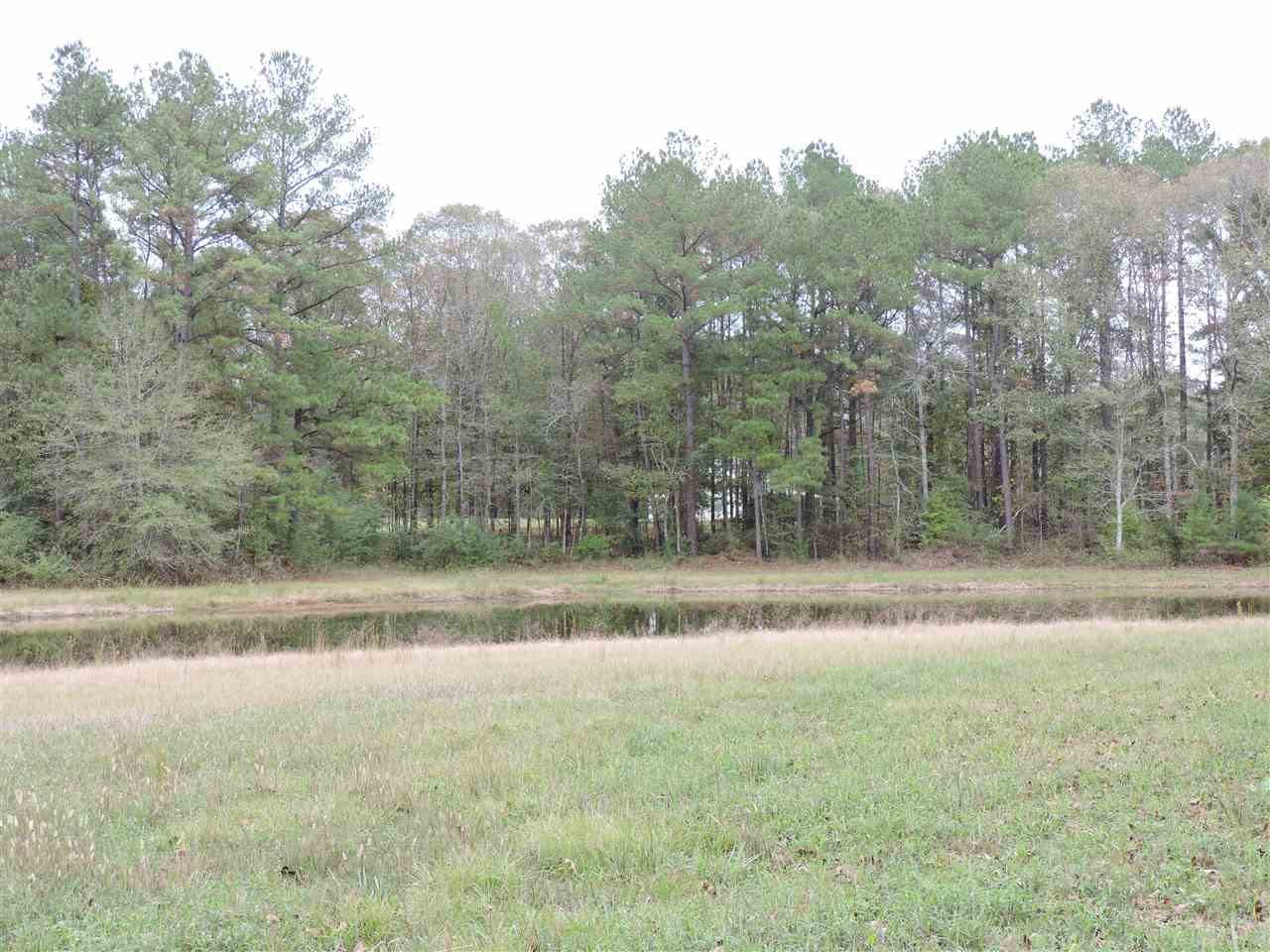 844 Pinola Braxton Road Braxton, MS 39044 - Photo 31 of 41 Photo 31