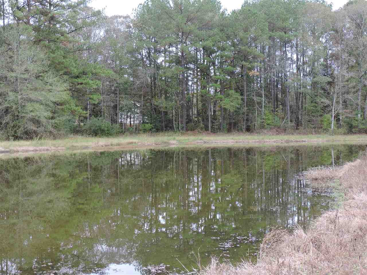 844 Pinola Braxton Road Braxton, MS 39044 - Photo 32 of 41 Photo 32