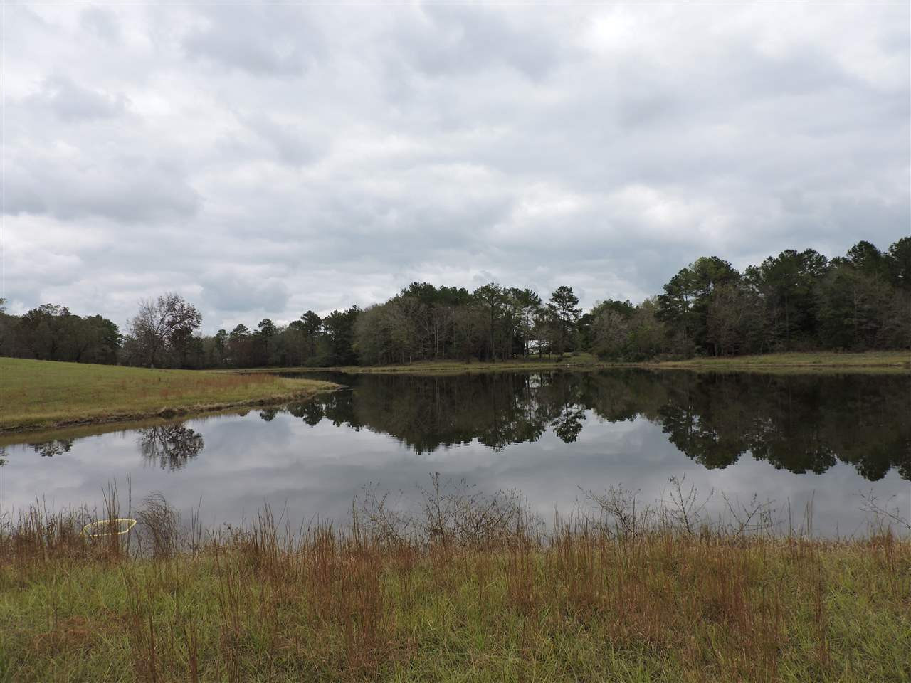 844 Pinola Braxton Road Braxton, MS 39044 - Photo 34 of 41 Photo 34