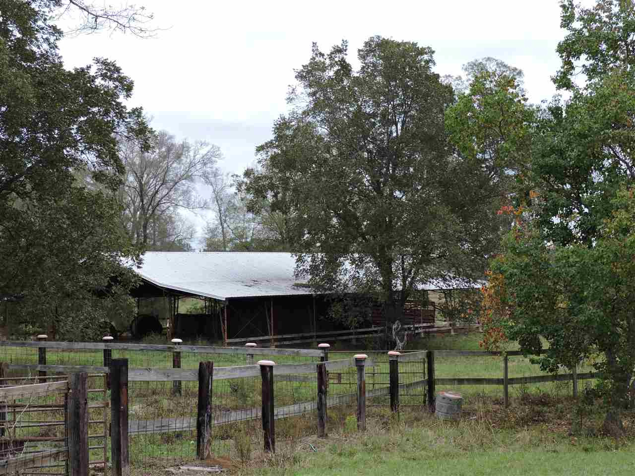 844 Pinola Braxton Road Braxton, MS 39044 - Photo 38 of 41 Photo 38
