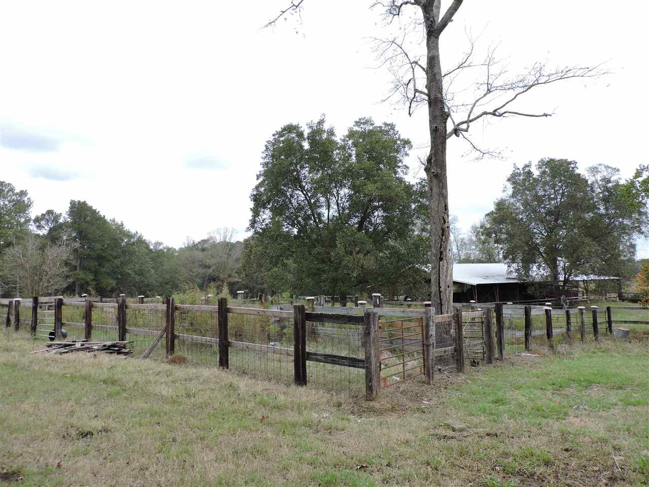 844 Pinola Braxton Road Braxton, MS 39044 - Photo 5 of 41 Photo 5