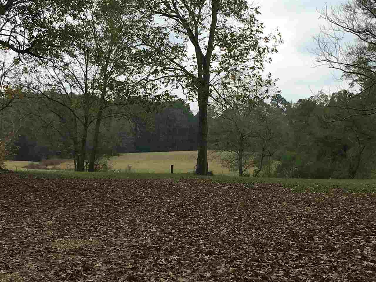 844 Pinola Braxton Road Braxton, MS 39044 - Photo 6 of 41 Photo 6