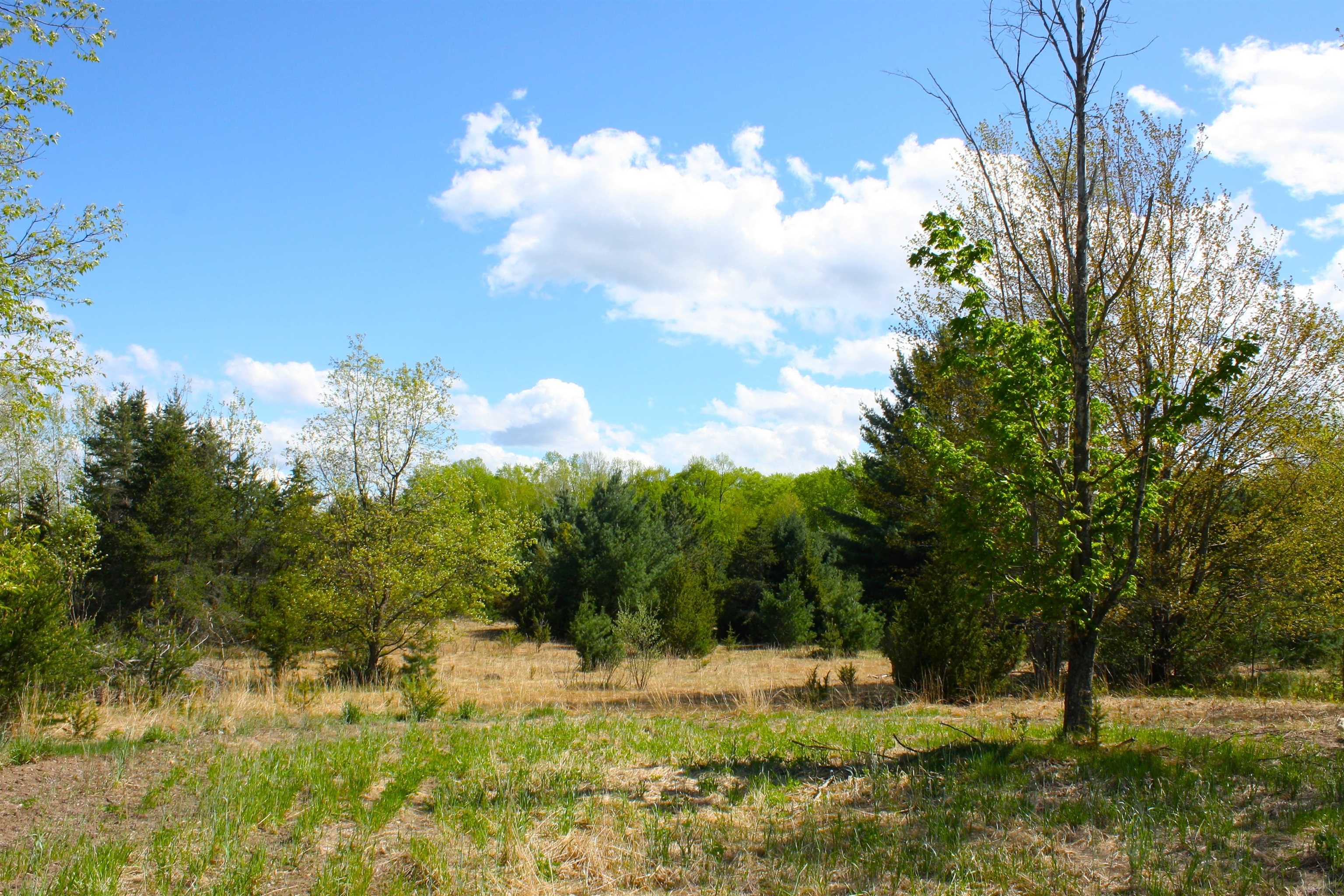 5560 Cool Road Southeast Kalkaska, MI 49646 - Photo 30 of 39 1899924-29.JPG