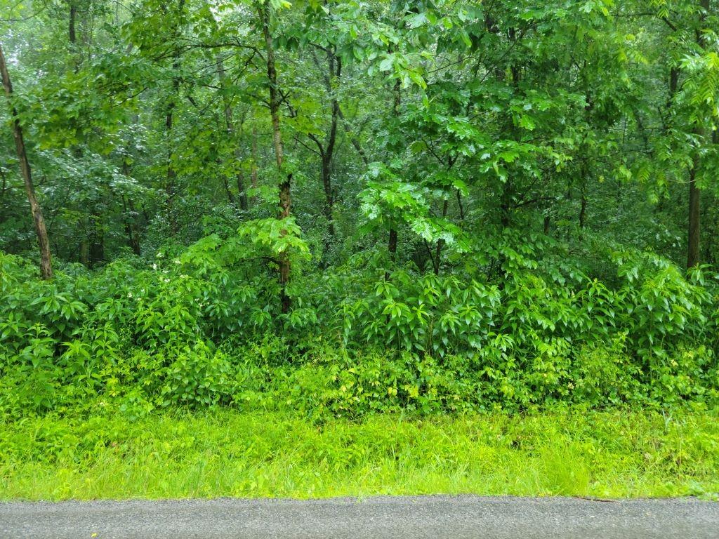 0 East Hookstown Grade Road Clinton, PA 15026 - Photo 1 of 5 Gallery Image 1