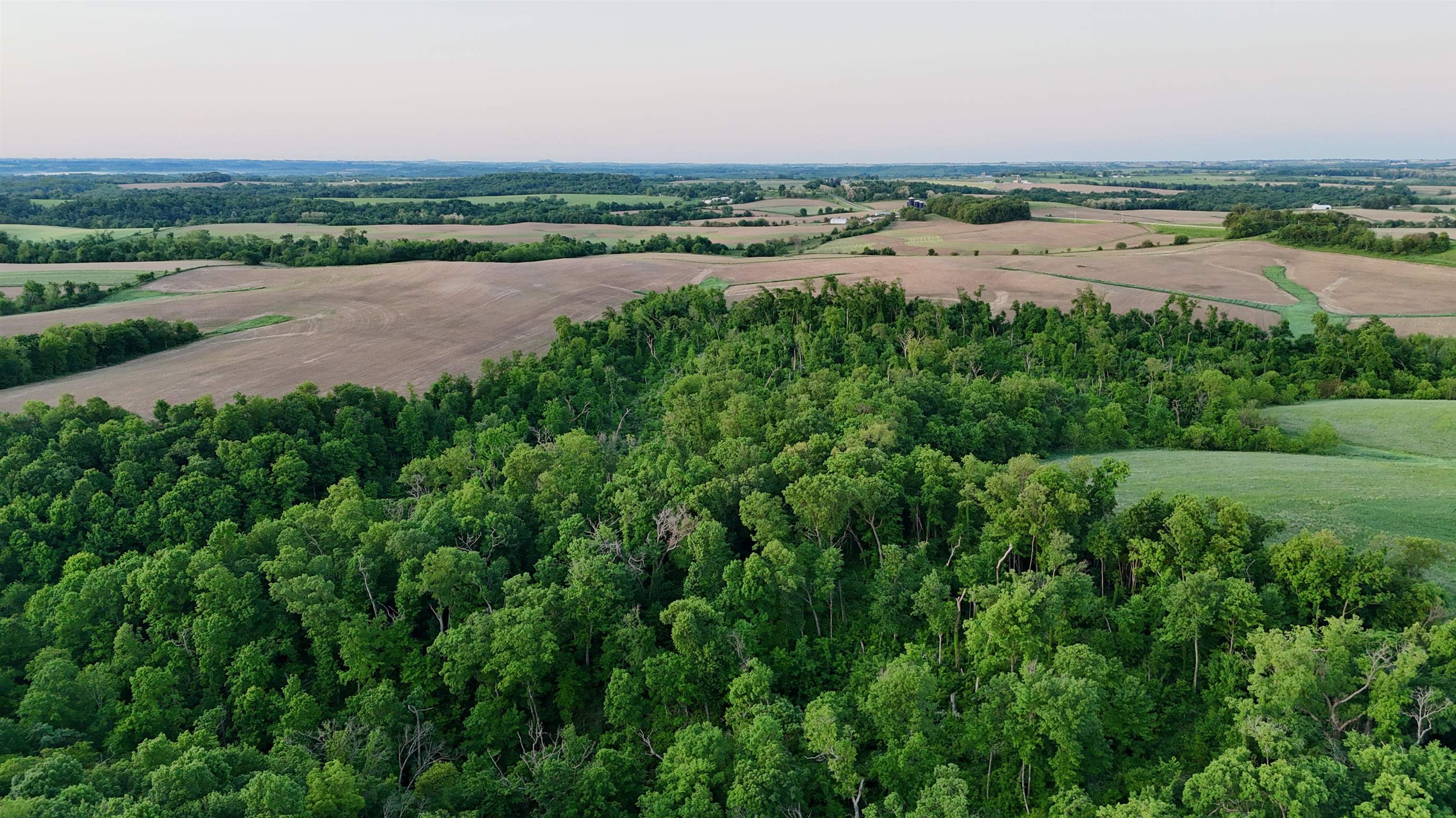 0 County T Boscobel, WI 53805 - Photo 8 of 30