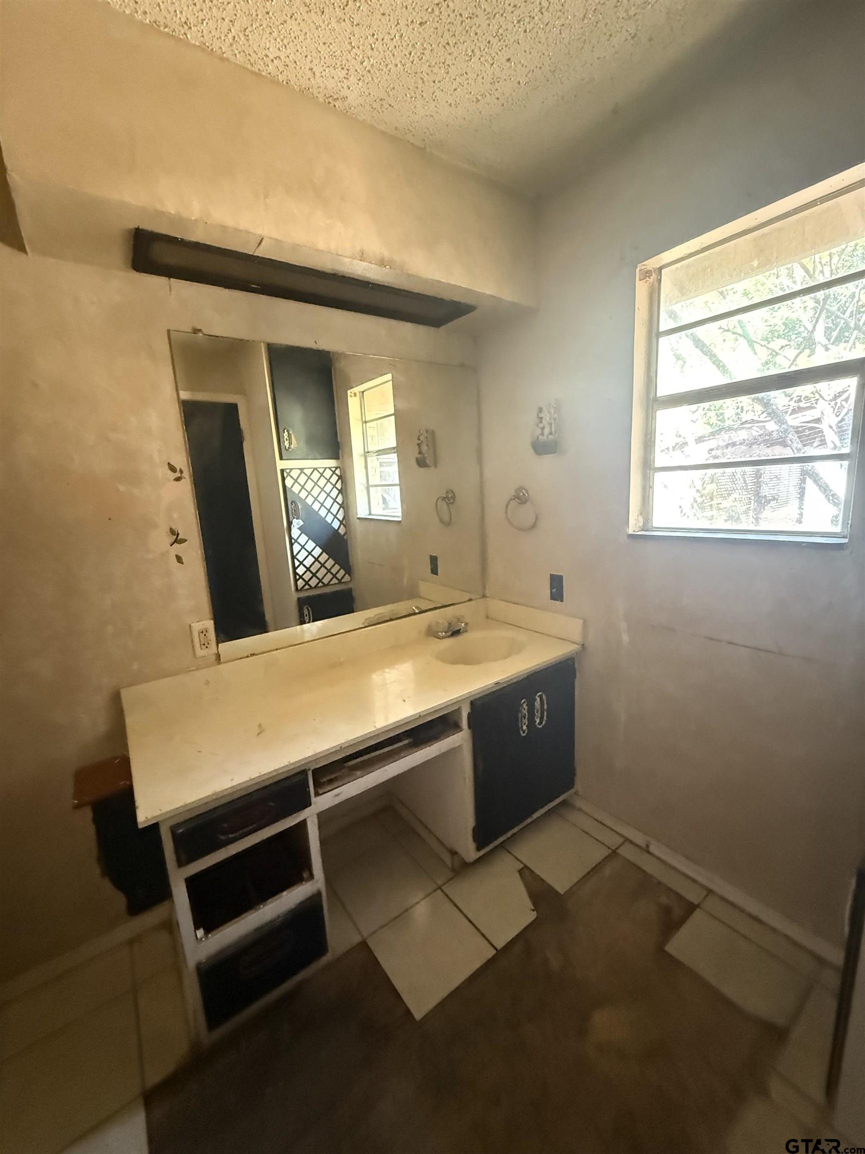 200 East Scenic Loop Hawkins, TX 75765 - Photo 15 of 17 a bathroom with a sink and a mirror