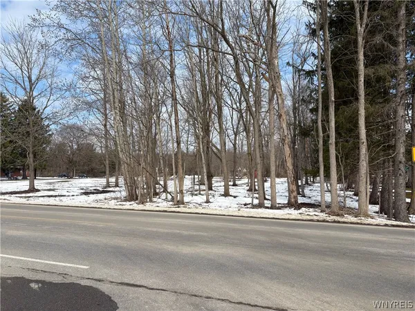 $114,900 | 0 Porterville Road, East Aurora, NY 14052