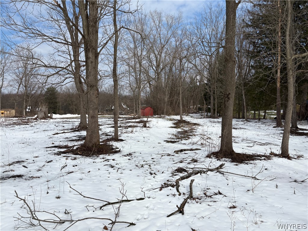 0 Porterville Road East Aurora, NY 14052 - Photo 2 of 7