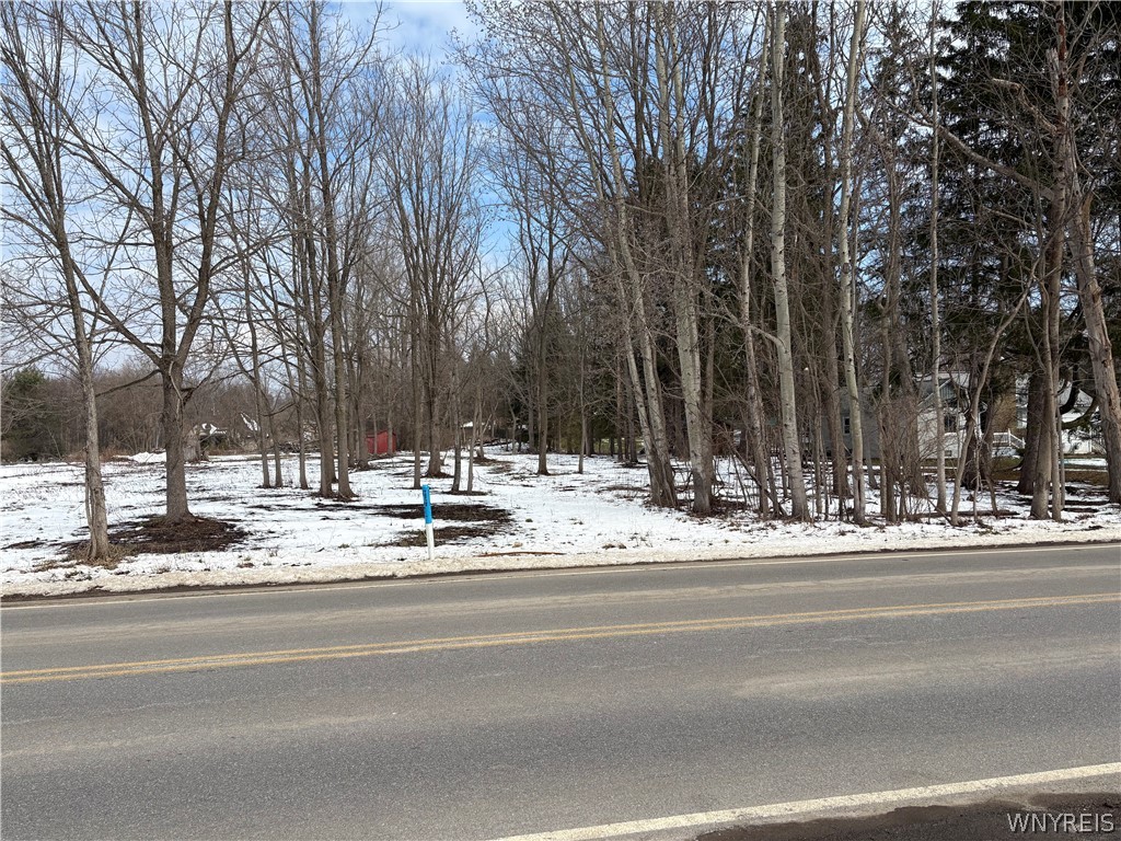 0 Porterville Road East Aurora, NY 14052 - Photo 3 of 7