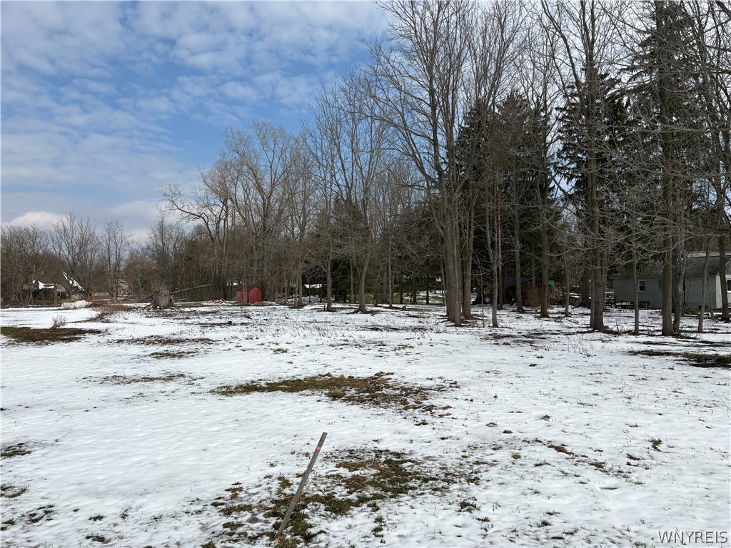 0 Porterville Road East Aurora, NY 14052 - Photo 4 of 7