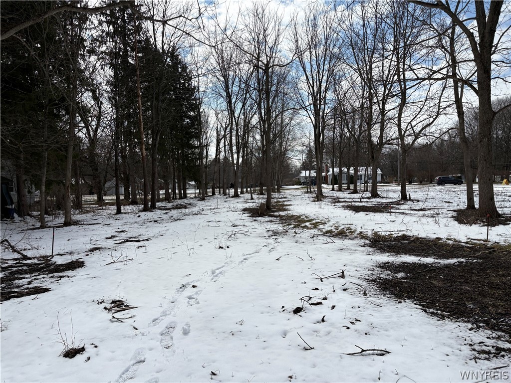 0 Porterville Road East Aurora, NY 14052 - Photo 6 of 7