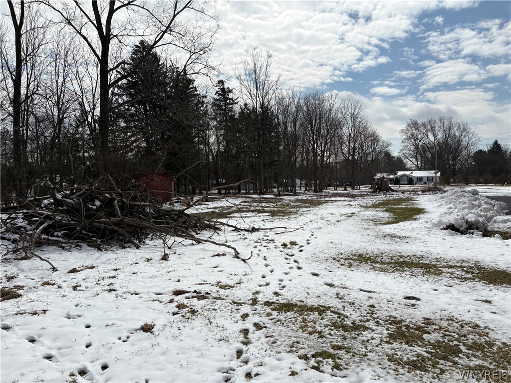 0 Porterville Road East Aurora, NY 14052 - Photo 7 of 7