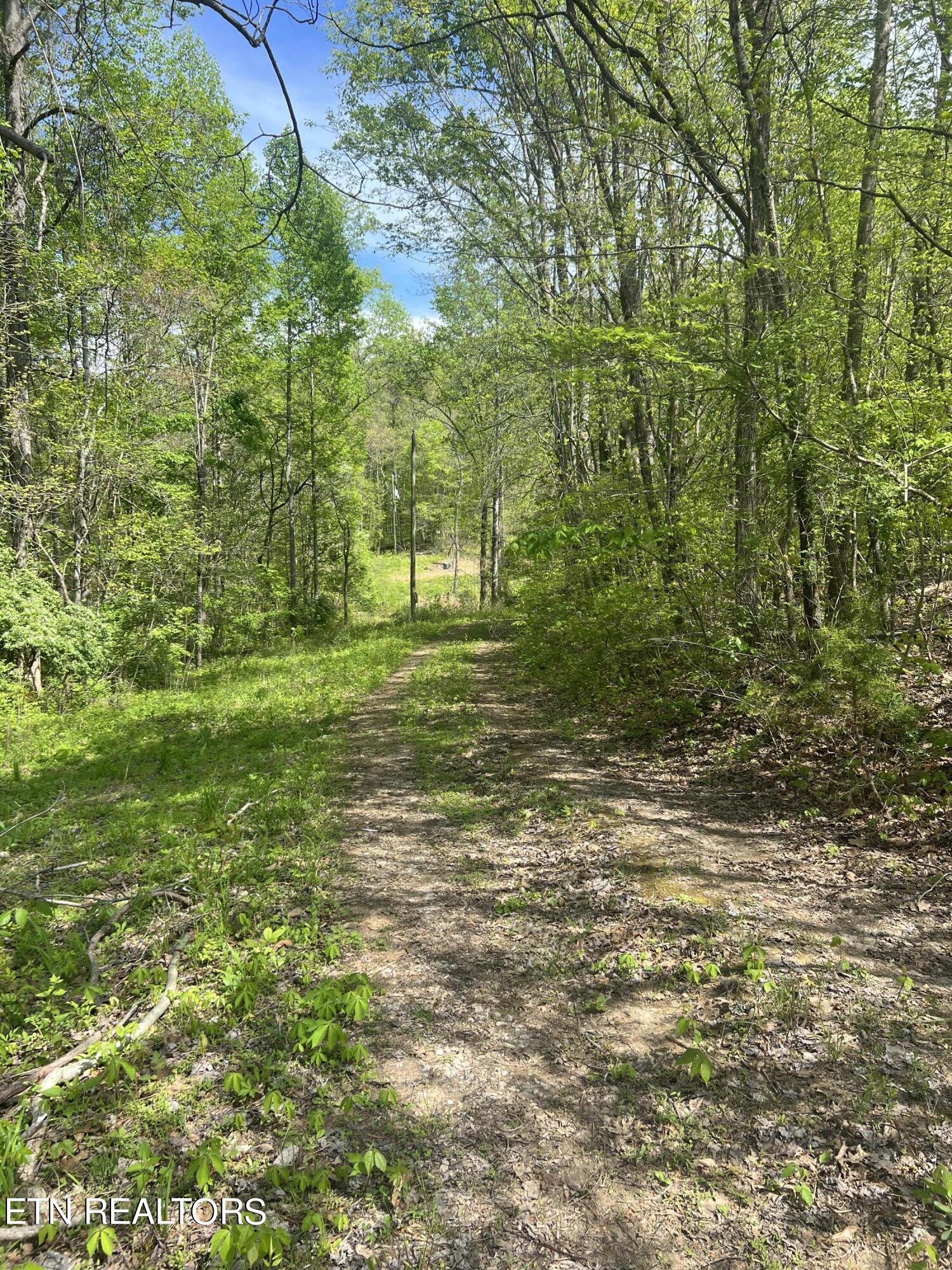 199 Lick Skillet Road Maynardville, TN 37807 - Photo 1 of 7 F46DBD48-99C5-4D79-BC6F-8739321FDEC2
