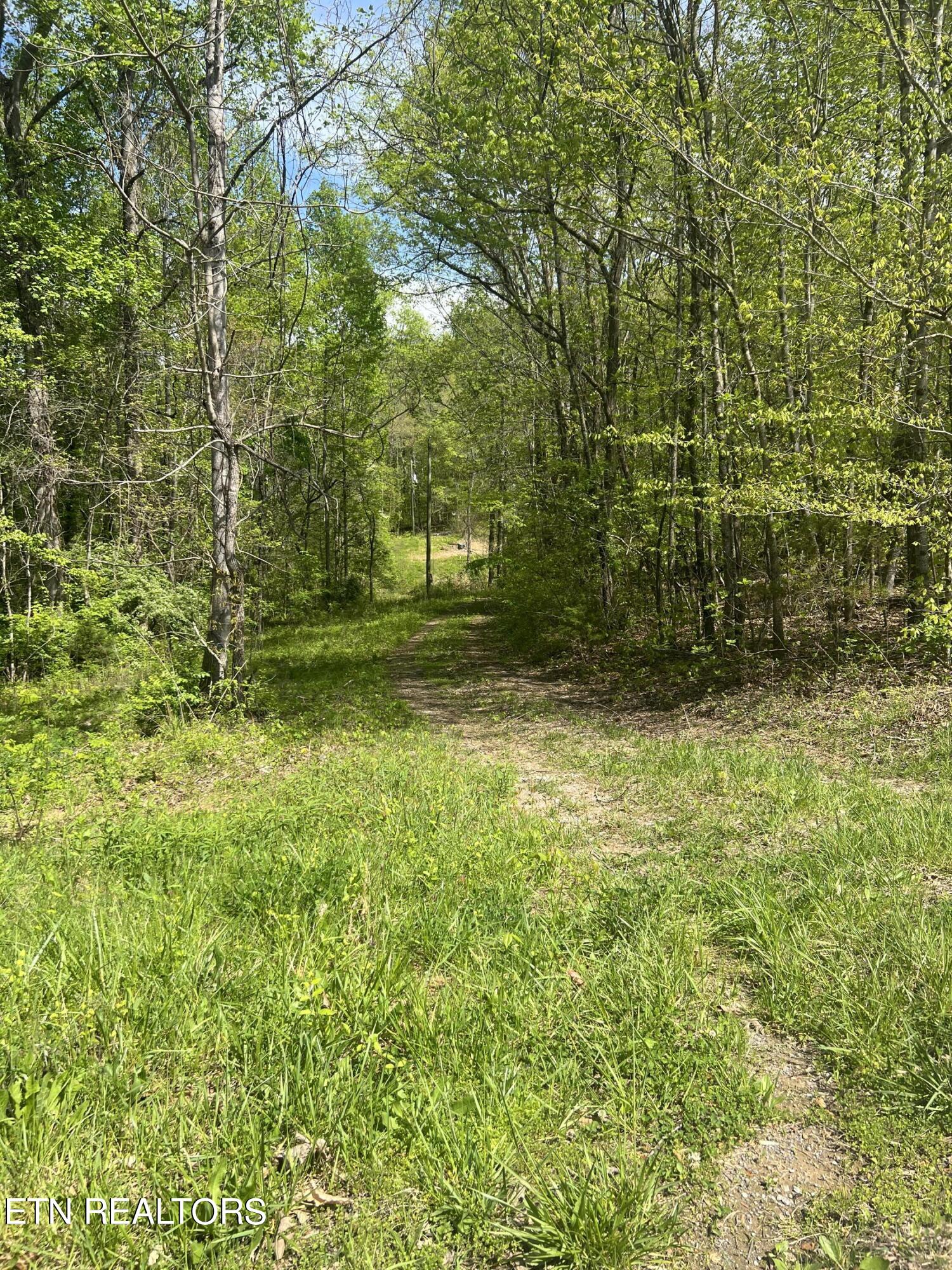 199 Lick Skillet Road Maynardville, TN 37807 - Photo 3 of 7 744835FB-C08C-44FC-88A3-90427D2519BE