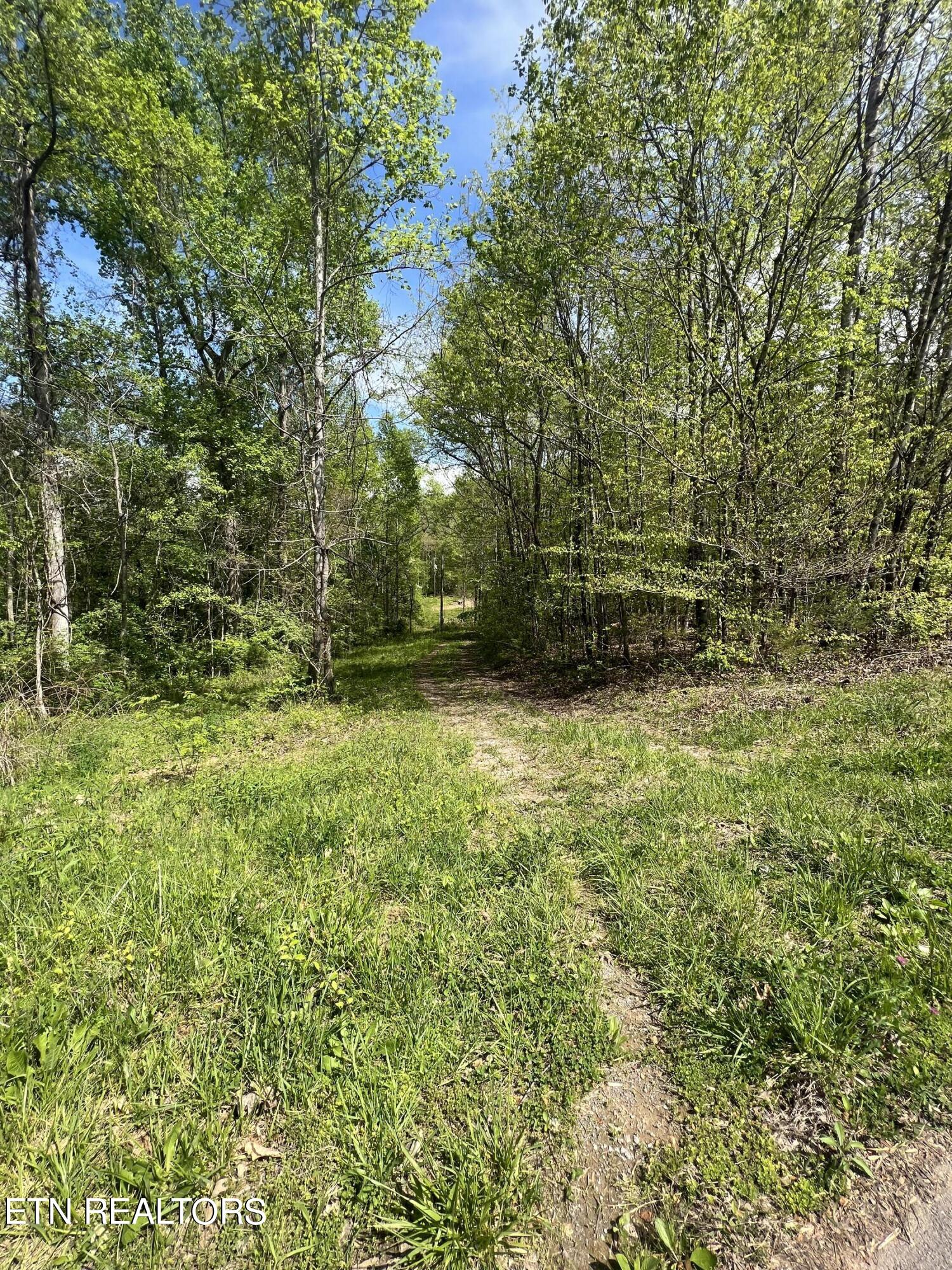 199 Lick Skillet Road Maynardville, TN 37807 - Photo 6 of 7 A9A9C6A8-345E-4845-876B-D70BD3C46060