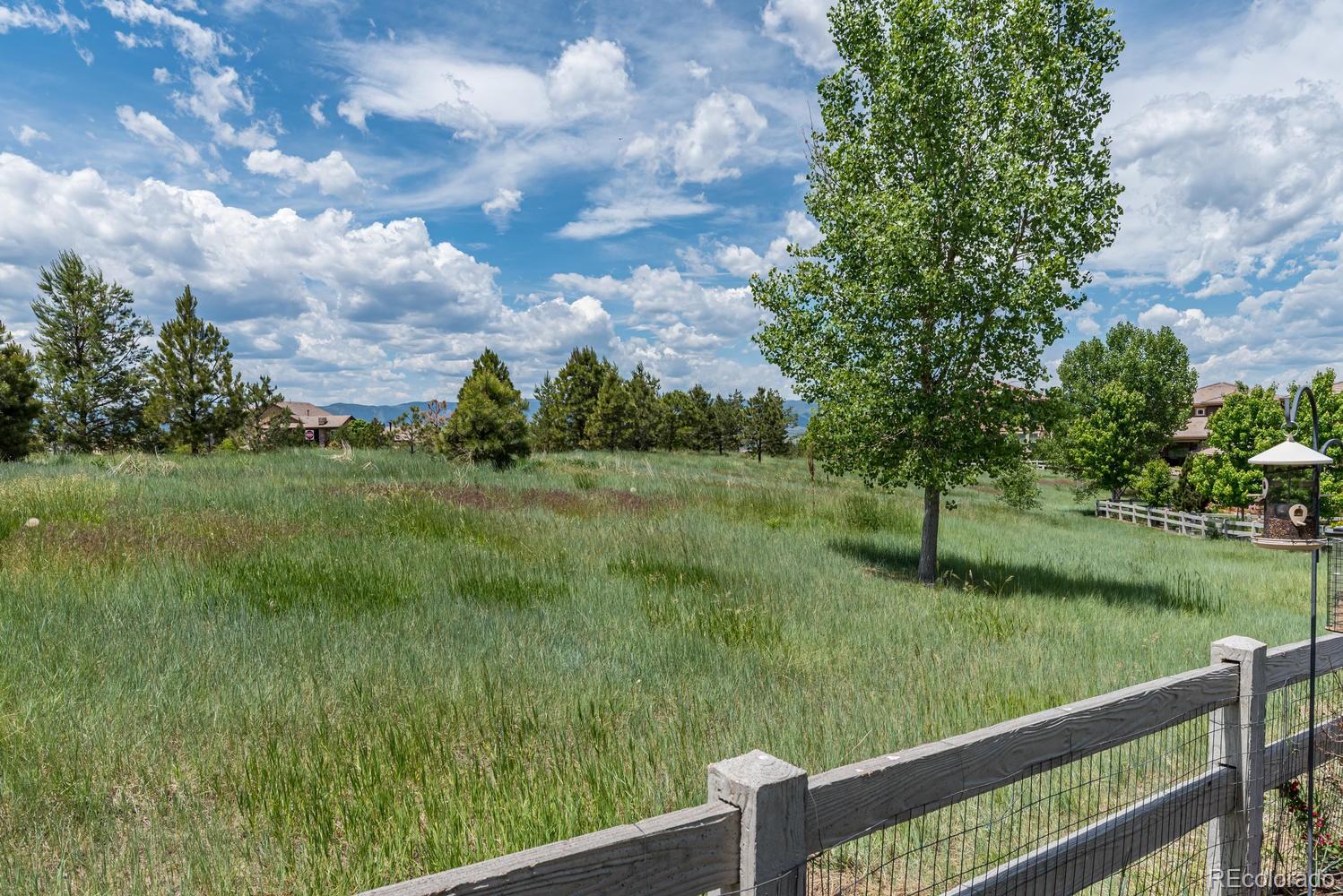 278 Maplehurst Point Highlands Ranch, CO 80126 - Photo 33 of 40 Gallery Image 33