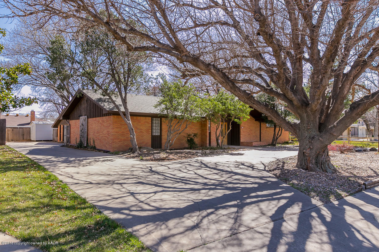 6107 Elmhurst Road Amarillo, TX 79106 - Photo 3 of 32 a view of a backyard with large trees