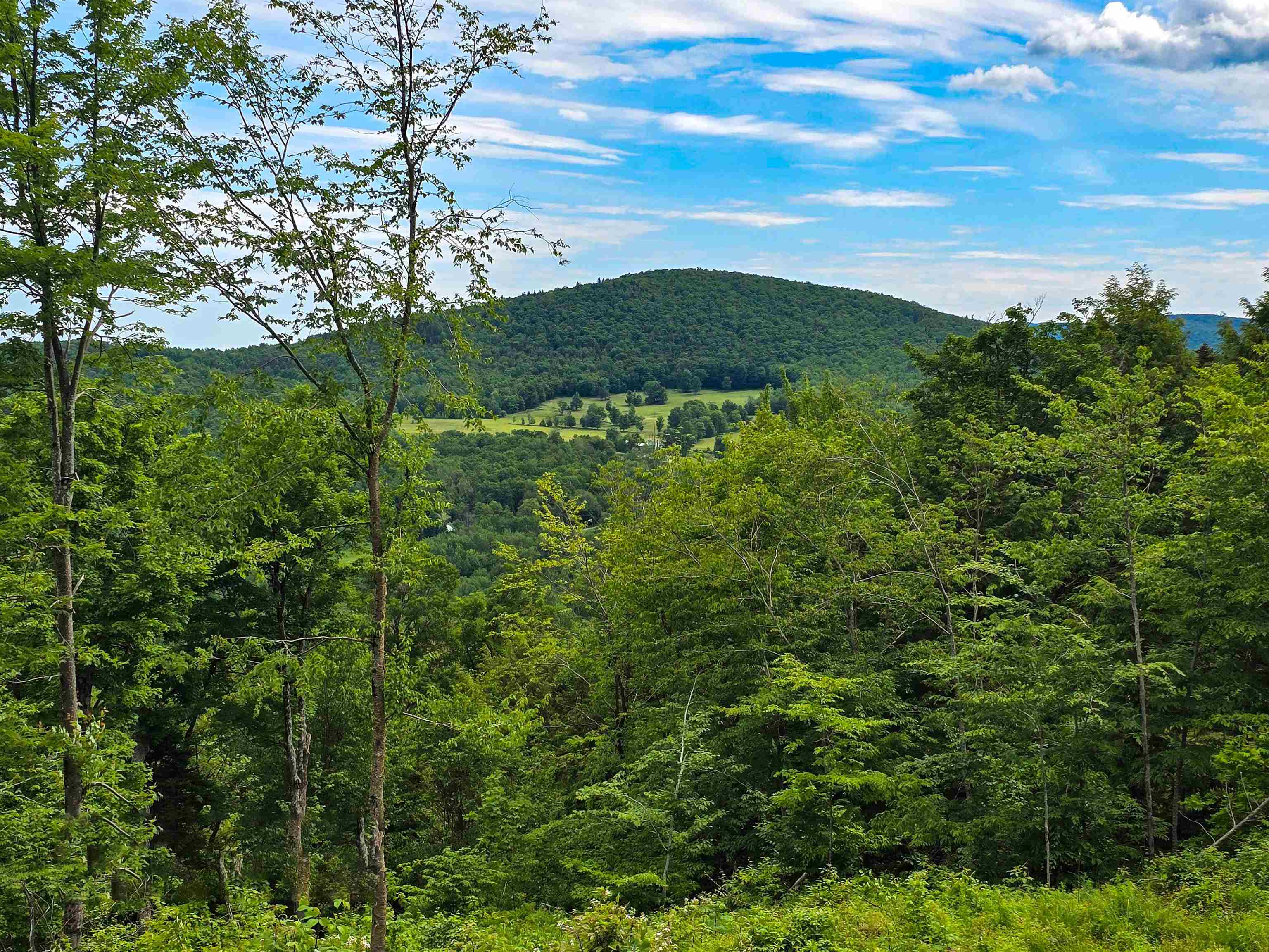 433 Wightman Hill Road Richford, VT 05476 - Photo 4 of 44